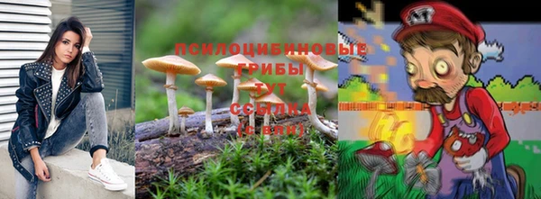 сатива Бугульма