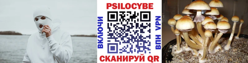Псилоцибиновые грибы мухоморы  Гудермес 