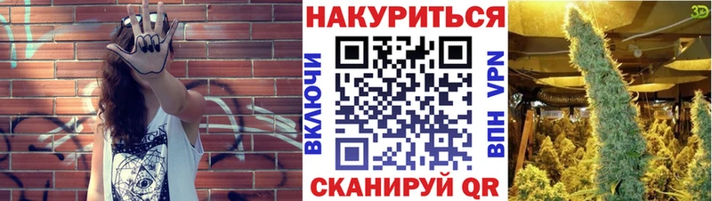 Бошки Шишки VHQ  Гудермес 